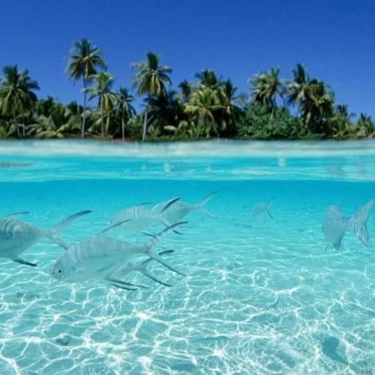 Отель Ocean Breeze Maldives Тулусду Экстерьер фото