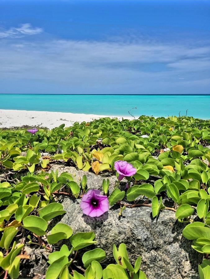 Отель Ocean Breeze Maldives Тулусду Экстерьер фото